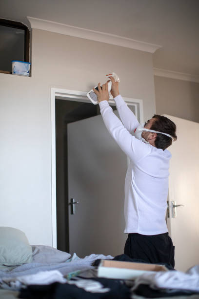 Best Emergency Mold Remediation  in Horatio, AR