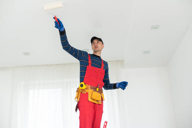 Best Basement Mold Removal  in Horatio, AR