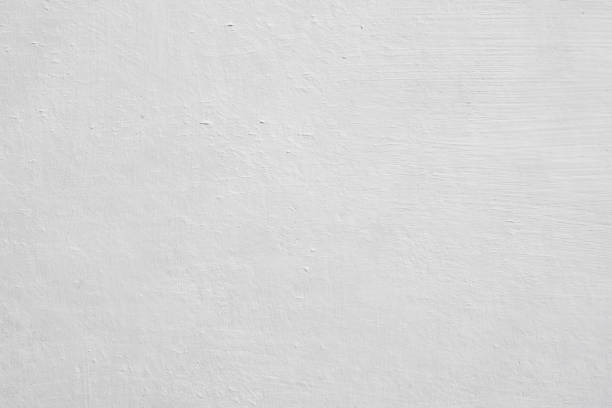 Best Commercial Mold Inspection  in Horatio, AR