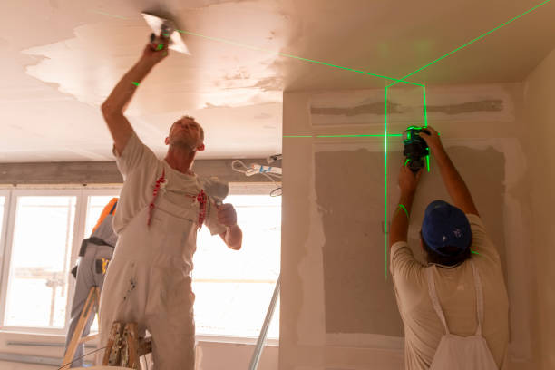 Best Real Estate Mold Inspection  in Horatio, AR