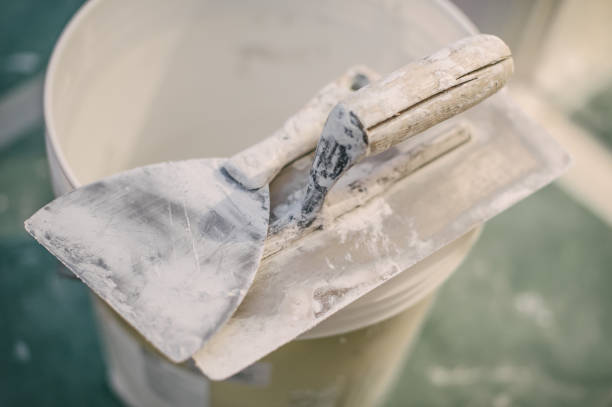 Best Post-Construction Mold Inspection  in Horatio, AR